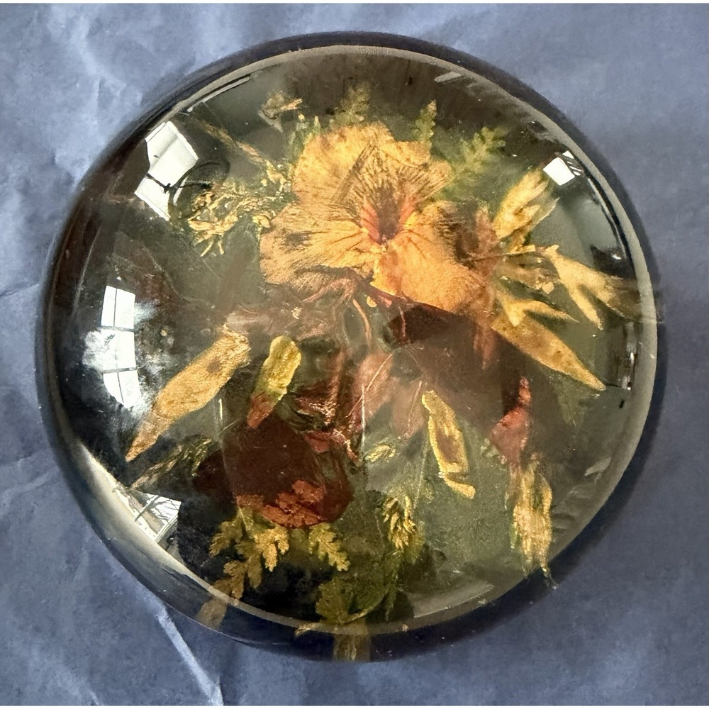 Vintage Pressed Flower Glass Paperweight Botanical‎ Floral Art Decor 4in Dome